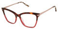 Ted Baker TW006 Tortoise Burgundy (TOR) Eyeglasses - Color Image