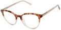 Ted Baker TW013 Blush (BLS) Eyeglasses - Color Image