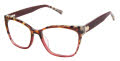Ted Baker TW023 Burgundy (BUR) Eyeglasses - Color Image