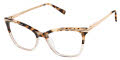 Ted Baker TW024 Ivory Tortoise (IVO) Eyeglasses - Color Image