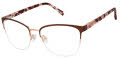 Ted Baker TW513 Brown (BRN) Eyeglasses - Color Image
