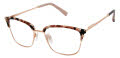 Ted Baker TW519 Blush Grey (BLS) Eyeglasses - Color Image