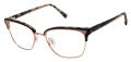 Ted Baker TW524 Black (BLK) Eyeglasses - Color Image