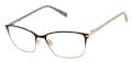 Ted Baker TW527 Black (BLK) Eyeglasses - Color Image