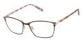 Ted Baker TW527 Brown (BRN) Eyeglasses - Color Image