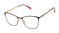 Ted Baker TW528 Tortoise (TOR) Eyeglasses - Color Image