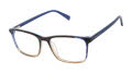 Ted Baker TXL011 Brown (BRN) Eyeglasses - Color Image