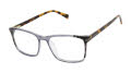 Ted Baker TXL011 Grey (GRY) Eyeglasses - Color Image