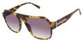 Ted Baker TBU001 Tortoise (TOR) Sunglasses - Color Image