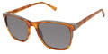 Ted Baker TMS092 Honey Slate (HON) Sunglasses - Color Image