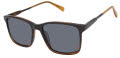 Ted Baker TMS093 Black Tortoise (BLK) Sunglasses - Color Image