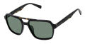 Ted Baker TMS201 Black (BLK) Sunglasses - Color Image