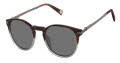 Ted Baker TMS203 Brown Grey (BRN) Sunglasses - Color Image