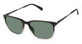 Ted Baker TMS204 Black (BLK) Sunglasses - Color Image