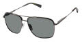 Ted Baker TMS206 Dark Gunmetal (DGN) Sunglasses - Color Image