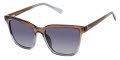 Ted Baker TWS298 Brown (BRN) Sunglasses - Color Image