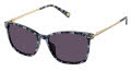 Ted Baker TWS300 Black (BLK) Sunglasses - Color Image
