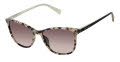 Ted Baker TWS302 Ivory Tortoise (IVO) Sunglasses - Color Image