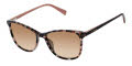 Ted Baker TWS302 Rose Tortoise (ROS) Sunglasses - Color Image