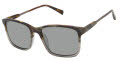 Ted Baker TMS093 Olive Grey (OLI) Sunglasses - Color Image