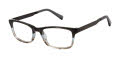 Ted Baker B964 Slate (SLA) Eyeglasses - Color Image