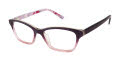 Ted Baker B966 Purple (PUR) Eyeglasses - Color Image