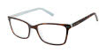 Ted Baker B968 Tortoise Mint (TOR) Eyeglasses - Color Image