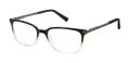 Ted Baker TFM001 Black Crystal (BLK) Eyeglasses - Color Image