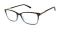 Ted Baker TFW004 Black Grey (BLK) Eyeglasses - Color Image
