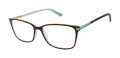 Ted Baker TFW004 Tortoise Mint (TOR) Eyeglasses - Color Image
