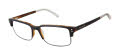 Ted Baker TM506 Black Tortoise (BLK) Eyeglasses - Color Image