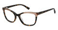 Ted Baker TW001 Tortoise (TOR) Eyeglasses - Color Image