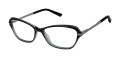 Ted Baker TW004 Black Grey (BLK) Eyeglasses - Color Image