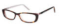 Ted Baker B851 Tortoise Ted (TOR) Eyeglasses - Color Image
