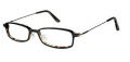 Ted Baker B852 Black Tortoise (EBO) Eyeglasses - Color Image