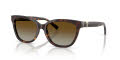 Tiffany & Co. TF4237B Havana/Polar Brown Gradient (8015T5) Sunglasses - Color Image