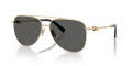 Tiffany & Co. TF3116 Pale Gold/Dark Grey (6021S4) Sunglasses - Color Image