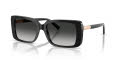 Tiffany & Co. TF4249 Black/Grey Gradient (80013C) Sunglasses - Color Image
