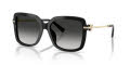 Tiffany & Co. TF4252B Black/Grey Gradient (80013C) Sunglasses - Color Image