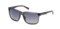 Timberland TB00037 Shiny Grey (20D) Sunglasses - Color Image