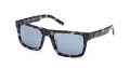 Timberland TB00042 Grey/Havana (52D) Sunglasses - Color Image
