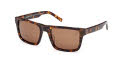Timberland TB00042 Light Brown/Havana (54H) Sunglasses - Color Image