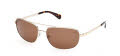 Timberland TB00045 Shiny Pale Gold (32H) Sunglasses - Color Image