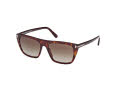 Tom Ford FT1175 - Aslan Tortoise Black/Grey Gradient (4400L3) Sunglasses - Color Image