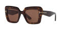 Tom Ford ESME TR TORTOISE / BROWN C (4402D2) Sunglasses - Color Image