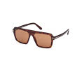 Tom Ford FT1176 Tortoise Black/Brown (4400D1) Sunglasses - Color Image