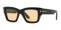 Tom Ford ILIAS BLACK SHINY / BROWN (1330D1) Sunglasses - Color Image