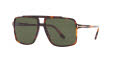 Tom Ford FT1177 KEMP Tortoise Blonde-Green (4410J1) Sunglasses - Color Image