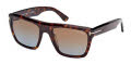 Tom Ford FT1077-Alberto Dark Havana (52F) Sunglasses - Color Image