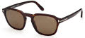 Tom Ford FT0931 Avery Shiny Classic Dark Havana / Polar Roviex Lenses (52H) Sunglasses - Color Image
